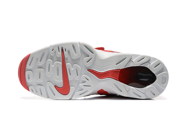 Air DT Max 96 'Red-white'